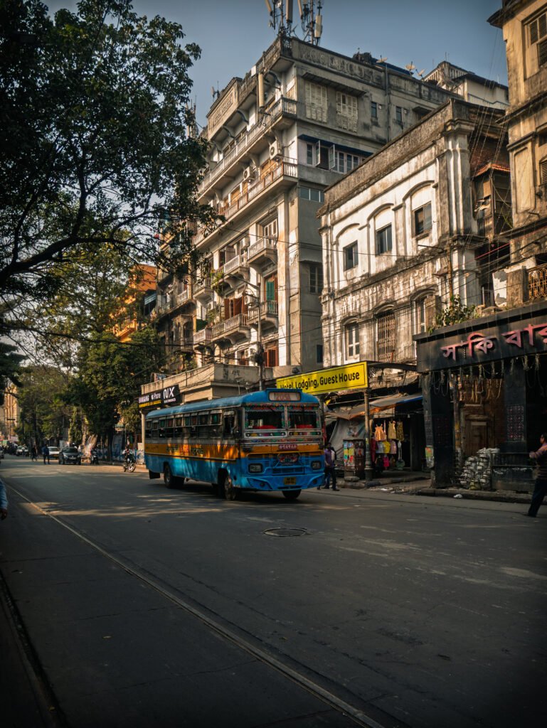  1190251 (1)