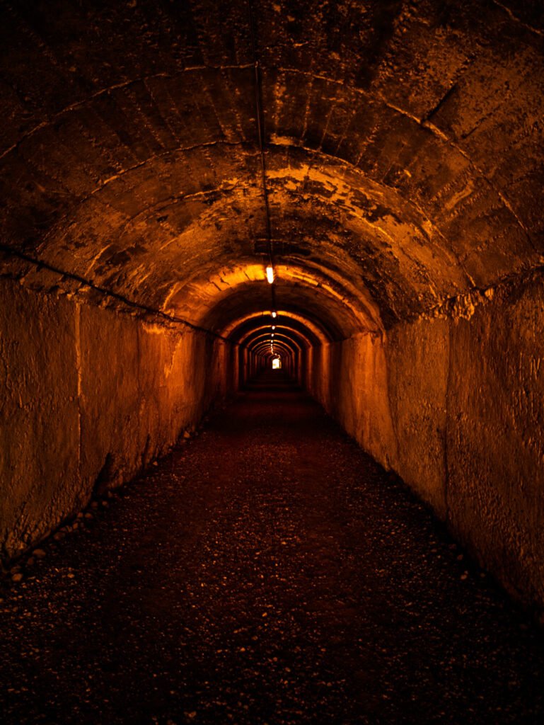1150776