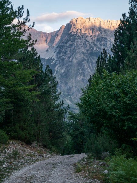 Valbona Valley Forest road